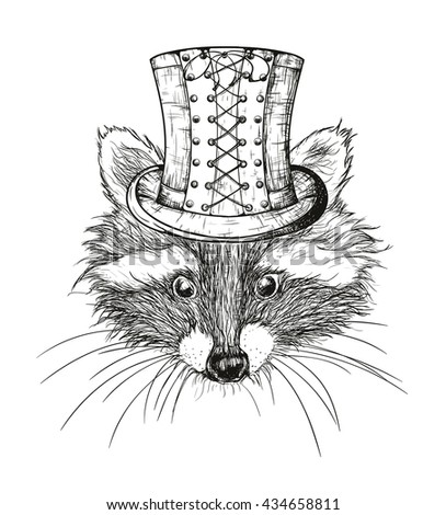 Raccoon Isolated Stock Images, Royalty-Free Images & Vectors | Shutterstock