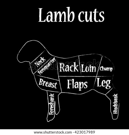 Cut Meat Set Poster Butcher Diagram Stock Vector 415805845 - Shutterstock