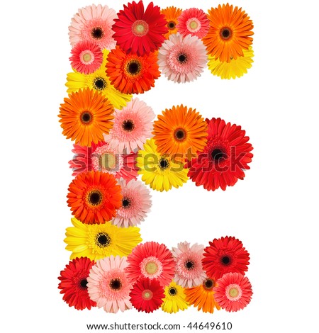 E Flower Alphabet Isolated On White Stock Photo 56062561 - Shutterstock