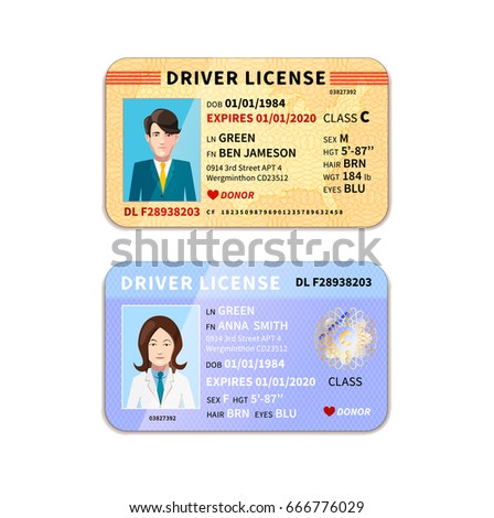 New York Driving License Test