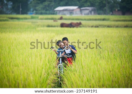 BAC GIANG,VIETNAM-JULY 10: Rural children are playing in the rice fields. JULY 10,2014 in BAC GIANG, VIETNAM