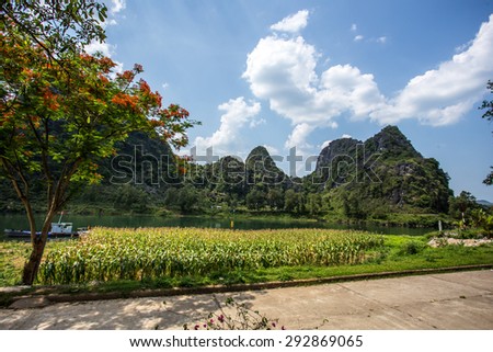 Beautiful scenery in the entrance Phong Nha Cave, Quang Binh, Viet Nam