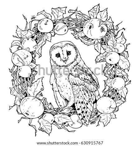 hand drawn decorative illustration of barn owl coloring page with owl and wreath from apples