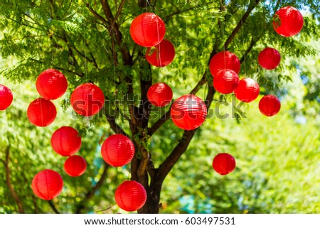 Chinese new year lanterns On the tree