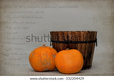 baby/pet digital Halloween backdrop