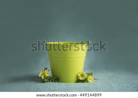 Baby/Pet posing background