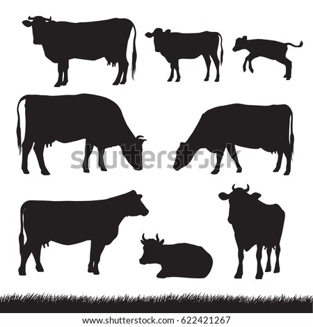 Silhouettes Grass Caws Baby Cows Different Stock Vector 622421267 ...