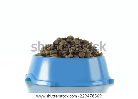 Make Dog Food Bowl Clay Make Dog Food Bowl Clay