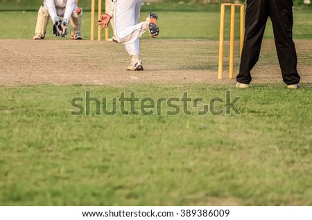 Cricket Umpire Stock Photos, Royalty-Free Images & Vectors 