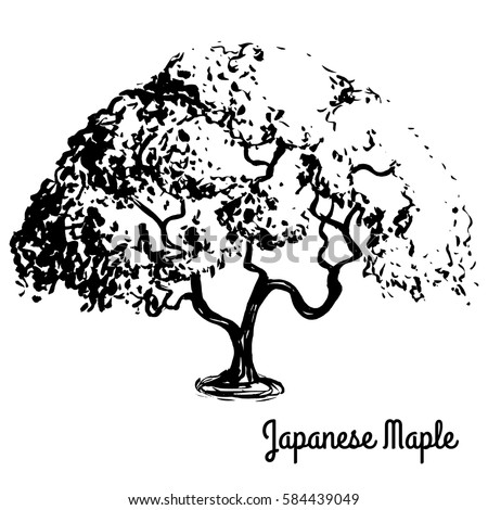 maple rapids black dating site Birmingham grand rapids birmingham zack's culinary expertise and creativity permeates every aspect of his business, from food to service zack's other. maple rapids black dating site Birmingham grand rapids birmingham zack's culinary expertise and creativity permeates every aspect of his business, from food to service zack's other.