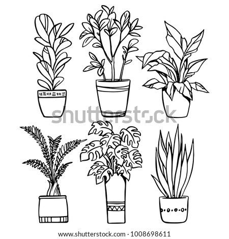 Vector Set House Plants Pots Outline Stock Vector 1008698611 - Shutterstock