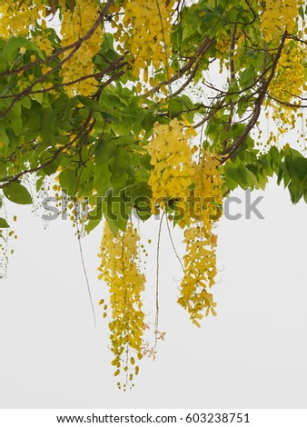 Accept. interesting Free golden shower pic opinion you Any Free golden shower pic the