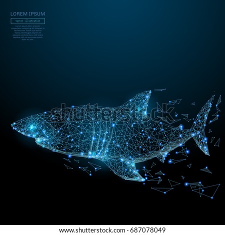 Shark Stock Images, Royalty-Free Images & Vectors | Shutterstock