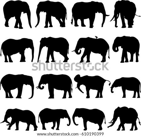 african elephant silhouette contour