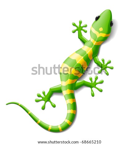 Gecko Stock Images, Royalty-Free Images & Vectors | Shutterstock