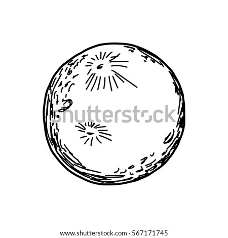 Vector Illustration Hand Drawn Sketch Moon Stock Vector 567171745