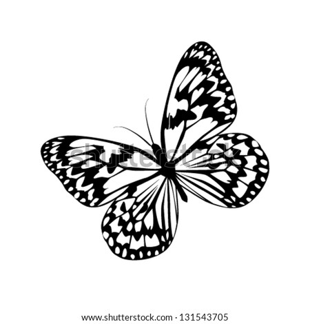 Butterfly shape Stock Photos, Images, & Pictures | Shutterstock