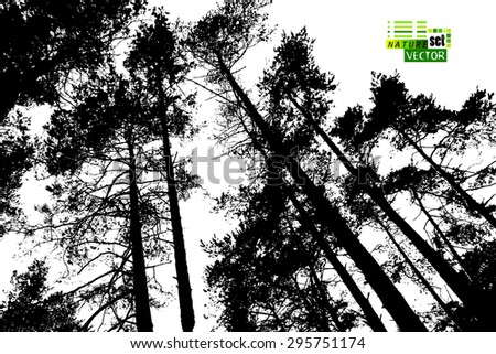 Forest Tree Silhouettes Vector Stock Vektörü 295751174 - Shutterstock