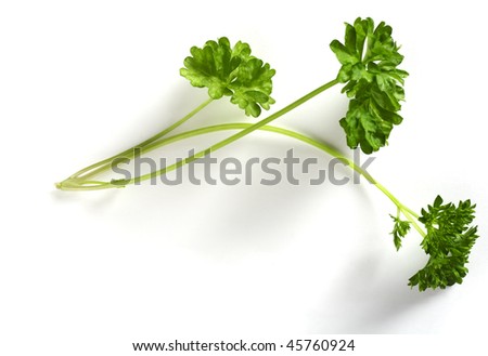What is a sprig of parsley?