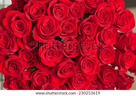 Red Pink Roses Wallpaper Pattern Stock Illustration 69400237 - Shutterstock