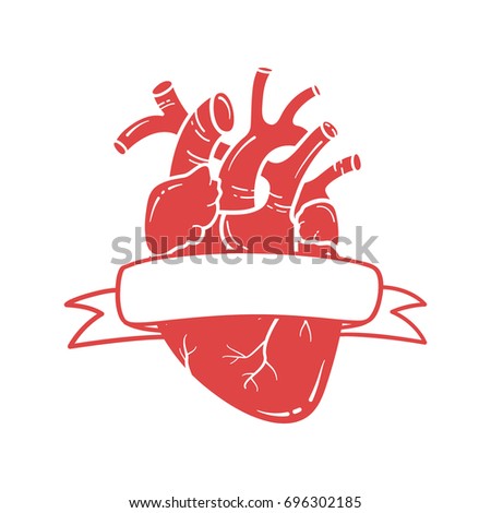 Anatomical Heart Line Art Illustration Vector Stock Vector 675916270 ...