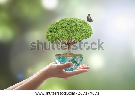World Environment Day Concept Tree Planting Stock Photo 425106391 ...