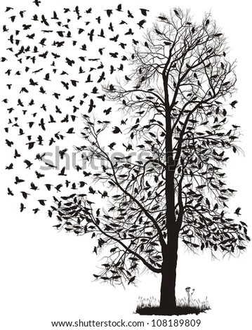 Crows fly away from the tree - stock vector