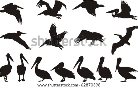 Collection of vector silhouettes on white storks - stock vector