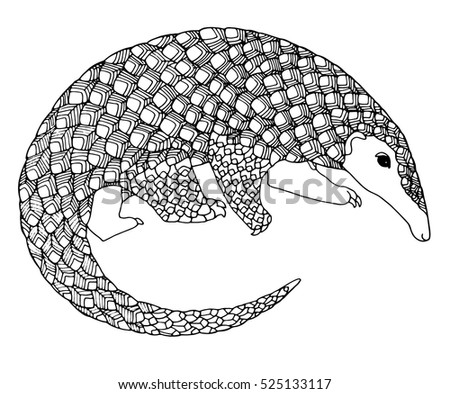 Zentangle Pangolin Unusual Page For Adult Coloring Book