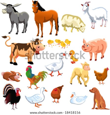 Arctic Animals Stock Vector 157059593 - Shutterstock