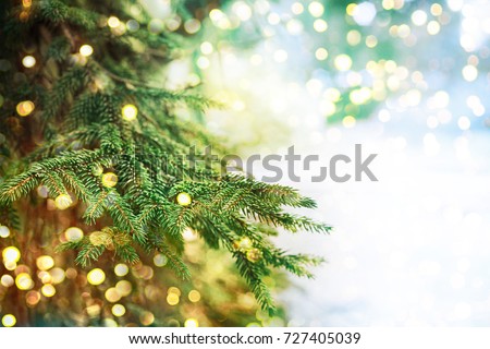 Closeup of Christmas-tree