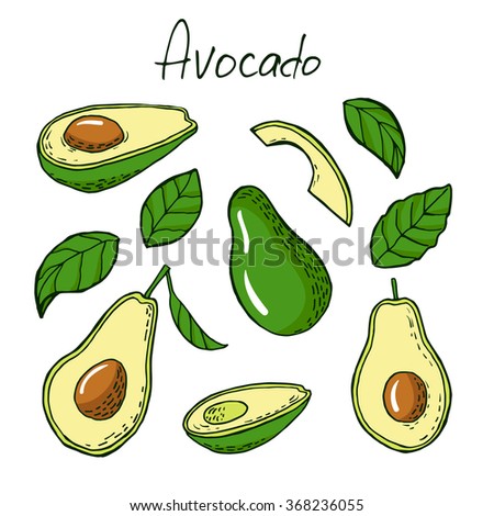 Illustration Cute Avocado Vector Illustration Stock Vector 546797287