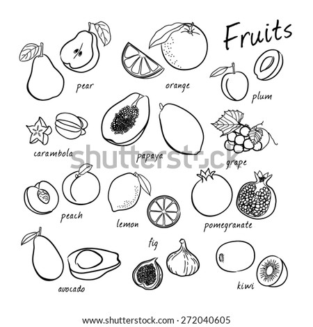 Vector seamless fruits set
