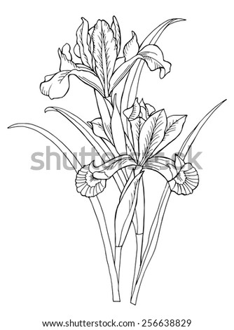 Floral Design Element Handdrawn Vector Illustration Stock Vector ...