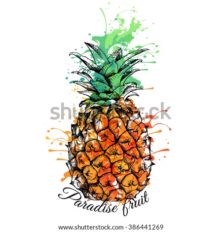Bright color Pineapple. Vector illustration.