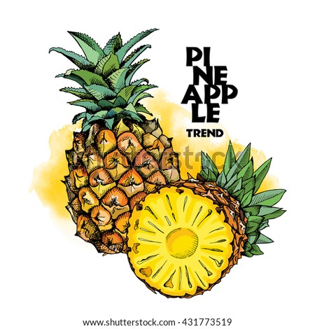 Pineapples fruit in color. Vector illustration.