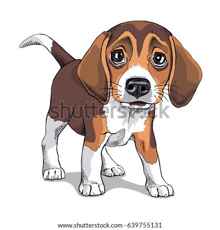 Beagle Cartoon Stock Images, Royalty-Free Images & Vectors | Shutterstock