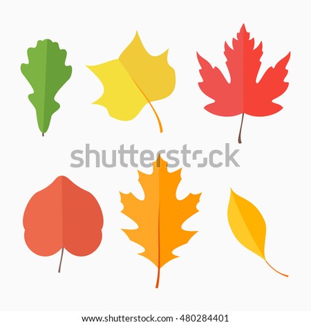 Autumn Leaves Set Isolated On White Stock Vector 311163389 - Shutterstock