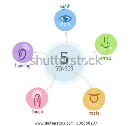 Five Senses Simple Hand Drawn Icons Stock Vector 630668237 - Shutterstock