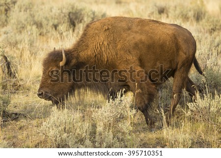 Singles in plains kansas