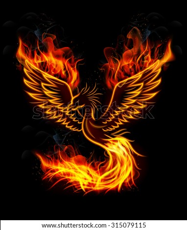 stock vector fire burning phoenix bird with black background vector 315079115