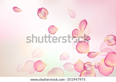 Blurred pastel background with rose flower petals.