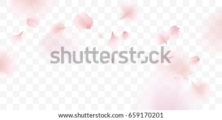 Pink sakura falling petals vector background. 3D romantic illustration
