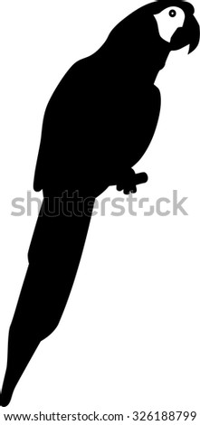 Clever Speaking Parrot Sits On Wooden Stock Vector 96649012 - Shutterstock