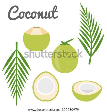 Vector coconut icon