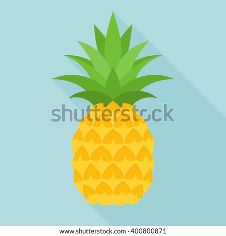 pineapple icon with long shadow, flat design