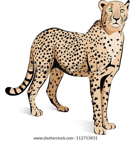 Cheetah Cartoon Stock Vector 112608020 - Shutterstock