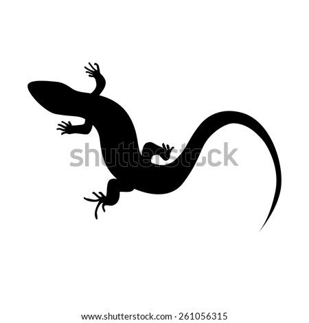 Lizard Stock Photos, Royalty-Free Images & Vectors - Shutterstock