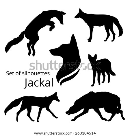 Jackal Set Silhouettes Vector Stock Vector 260104514 - Shutterstock