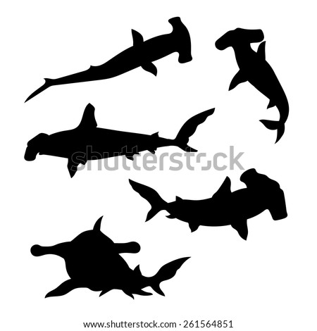 hammerhead shark set of silhouettes vector